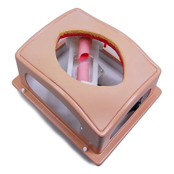 Belly Case