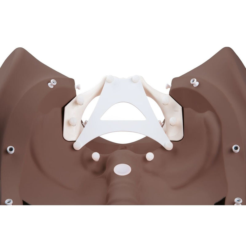 Birthing Stages Trainer, Dark Skin