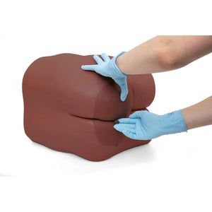 Bowel Care and Enema Trainer, Dark Skin