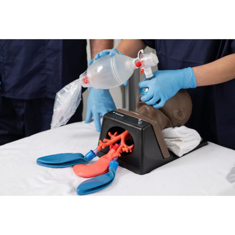 Bronchial Tree, Child