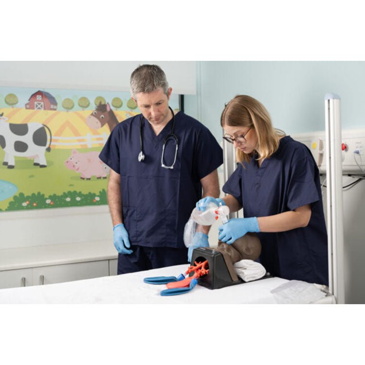 Bronchial Tree, Child