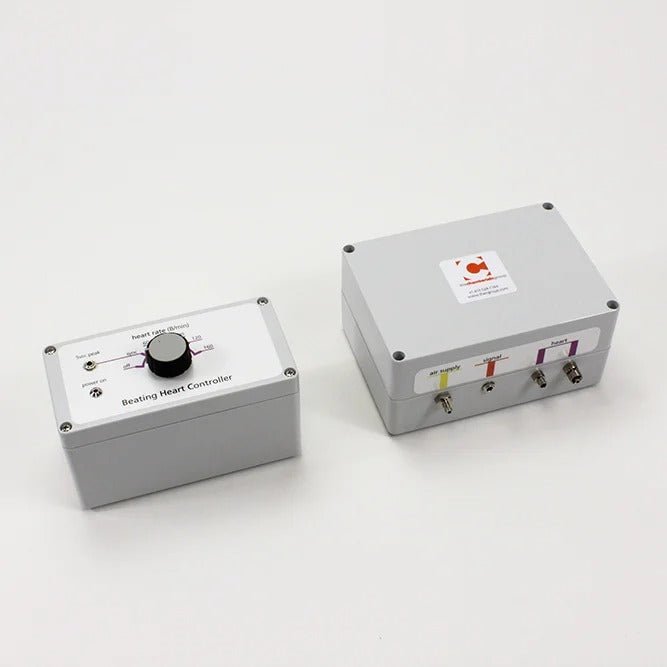 CABG Beating Heart With Ancillary