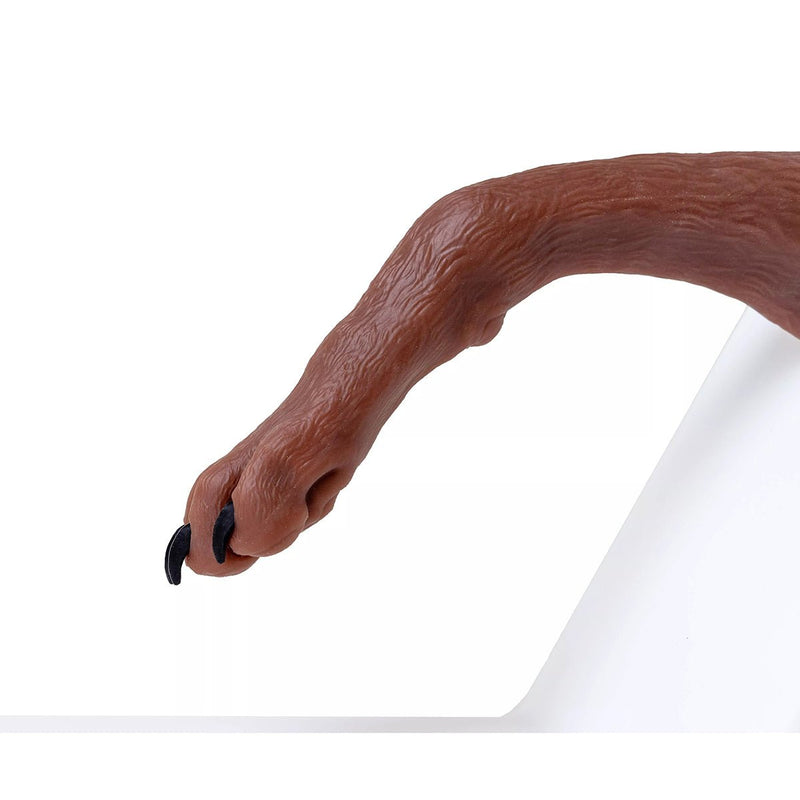 Canine Claw Trimming Paw