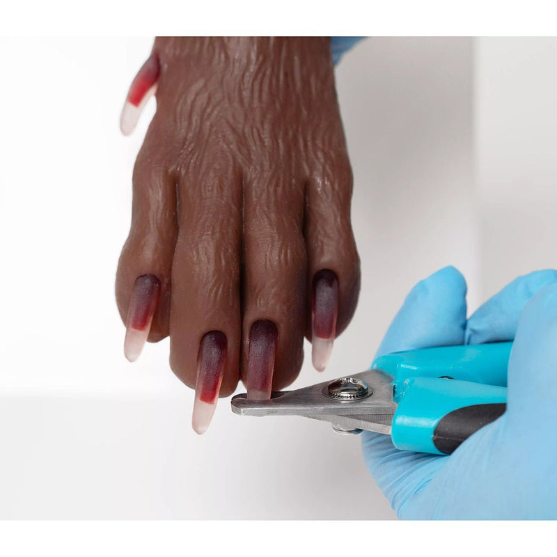 Canine Claw Trimming Paw