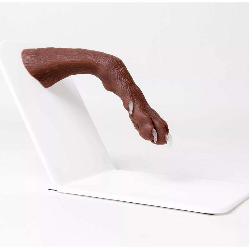 Canine Claw Trimming Paw