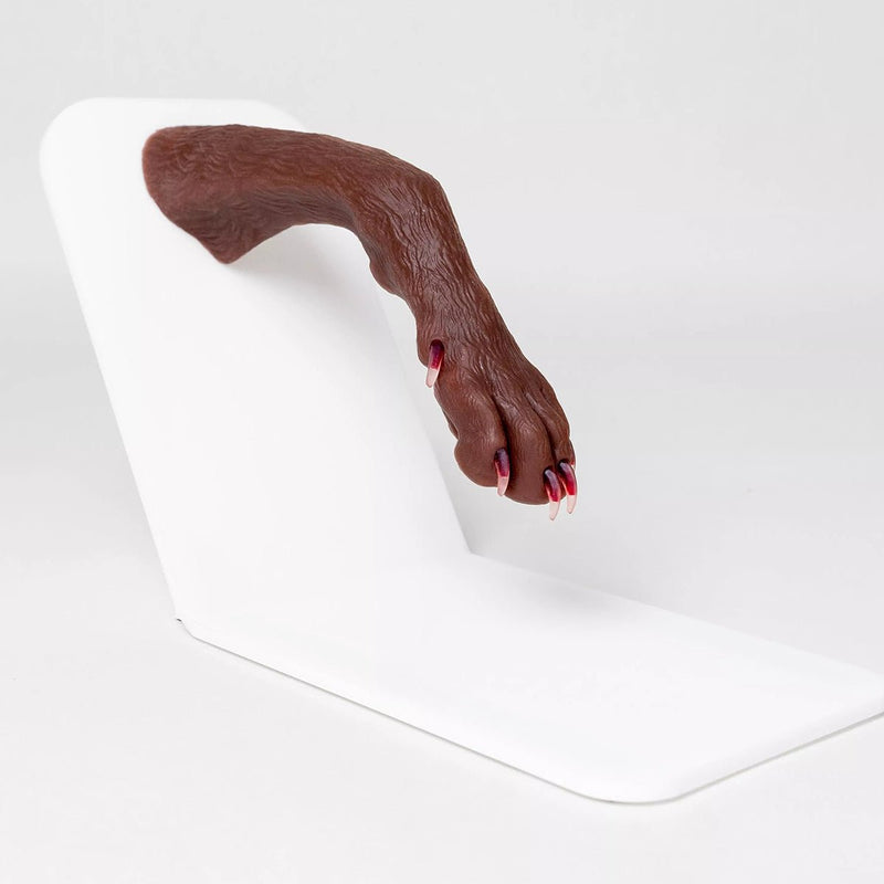 Canine Claw Trimming Paw