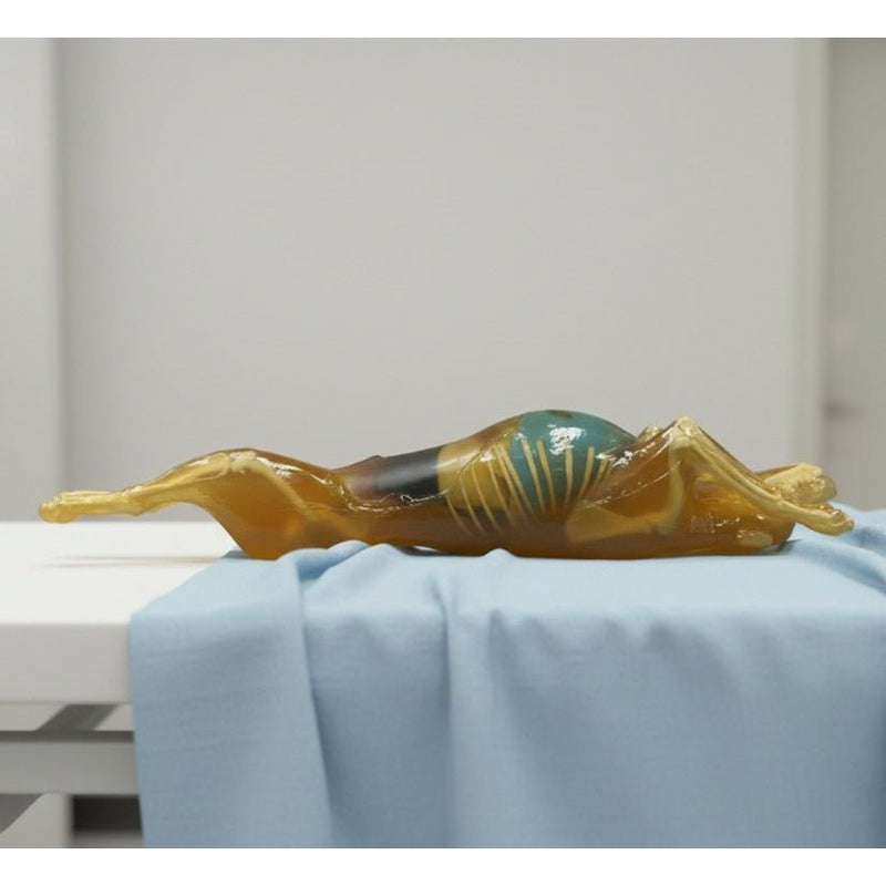 Canine Phantom for Ultrasound