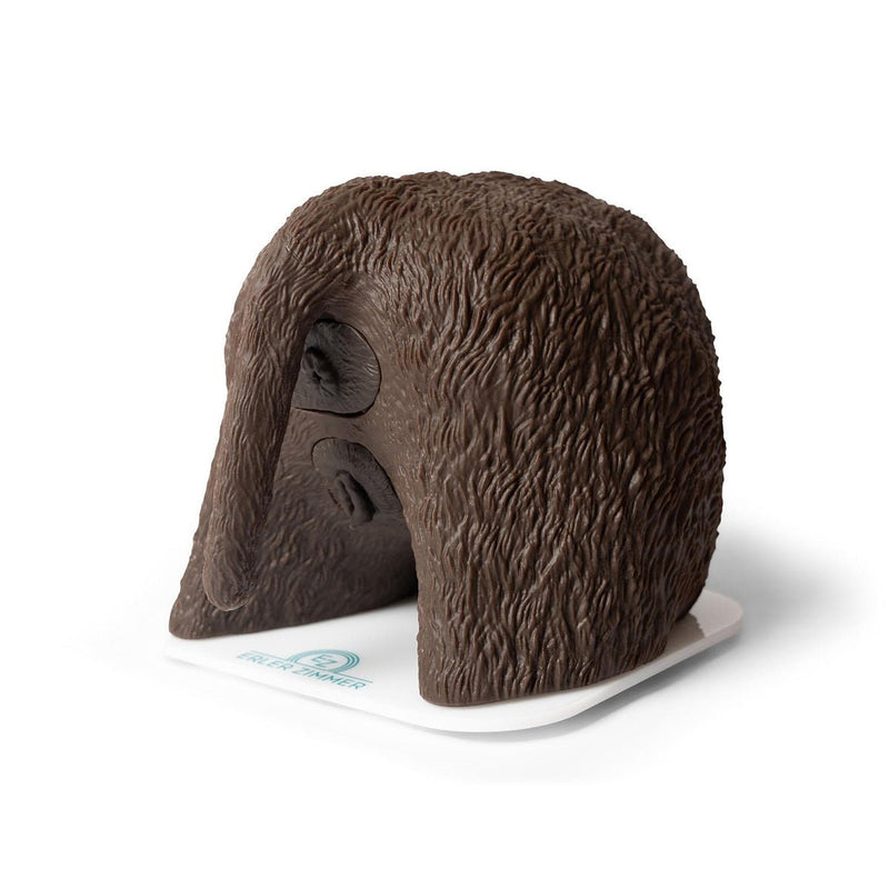 “Cathy” Female Dog Catheterization Simulator