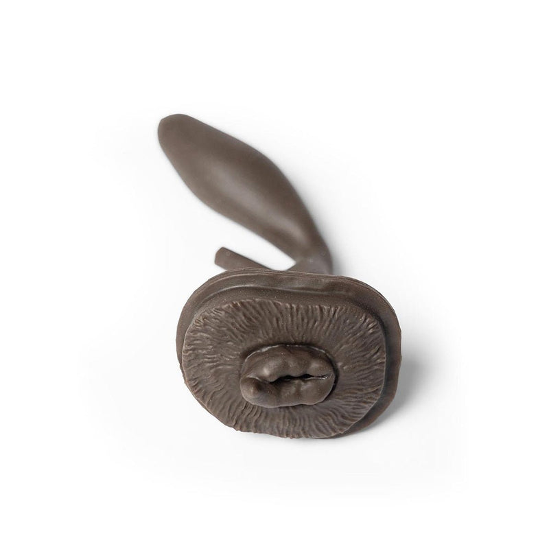 “Cathy” Female Dog Catheterization Simulator