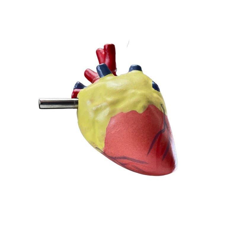 Chicken Anatomy Model, 8-Parts