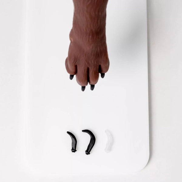 Claws/Nails, Long, Black (100 pieces) – GTSimulators.com