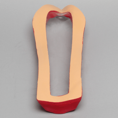 Clear Cover for Vertebroplasty Trunk #SB1513-19