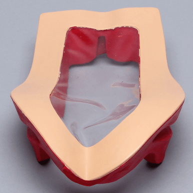 Clear Cover for Vertebroplasty Trunk #SB1513-38