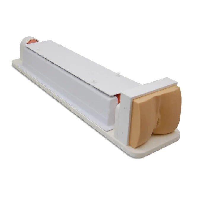 Colon Endoscopy Trainer
