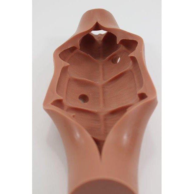 Colon Endoscopy Trainer with Raised Polyps