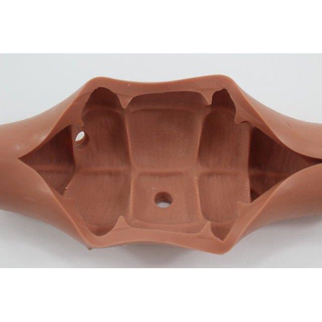 Colon Endoscopy Trainer with Raised Polyps