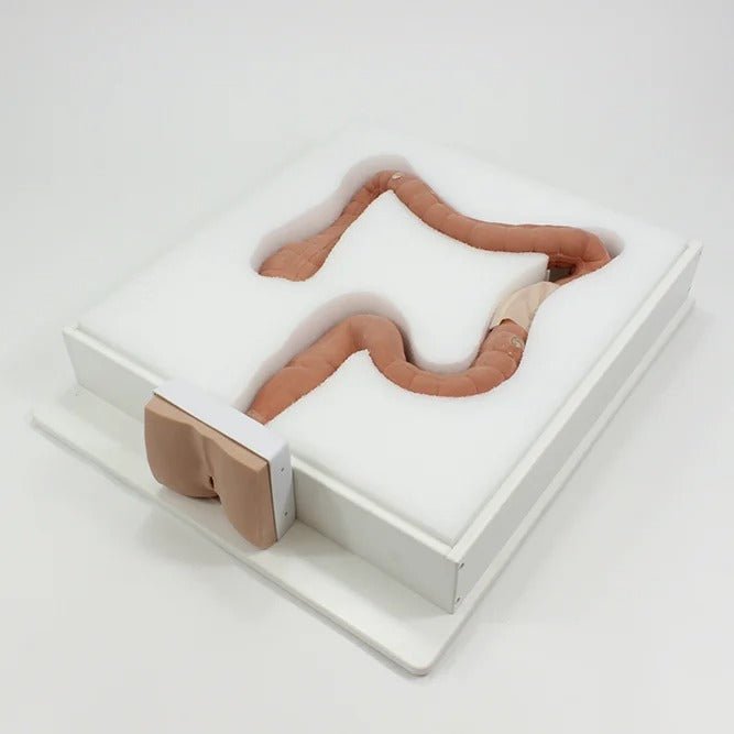 Colonoscopy Trainer
