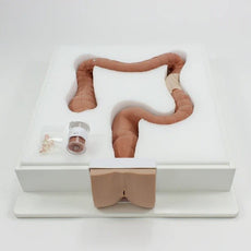 Colonoscopy Trainer