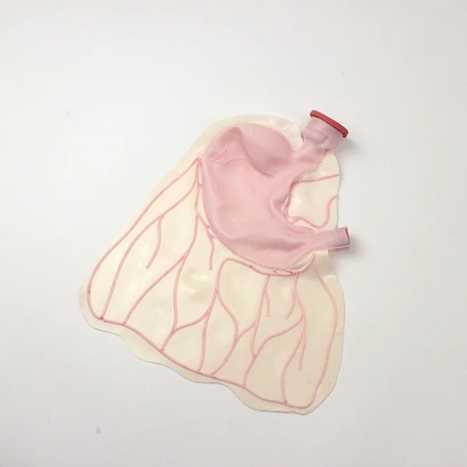 Compact Abdominal Surgery Trainer - AST