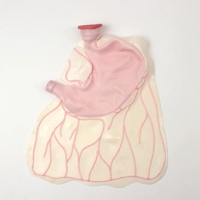 Compact Abdominal Surgery Trainer - AST