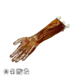 Complex Adult Arm Phantom for for X-Ray CT, US, MRI