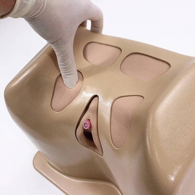 Comprehensive Urinary Sling Trainer
