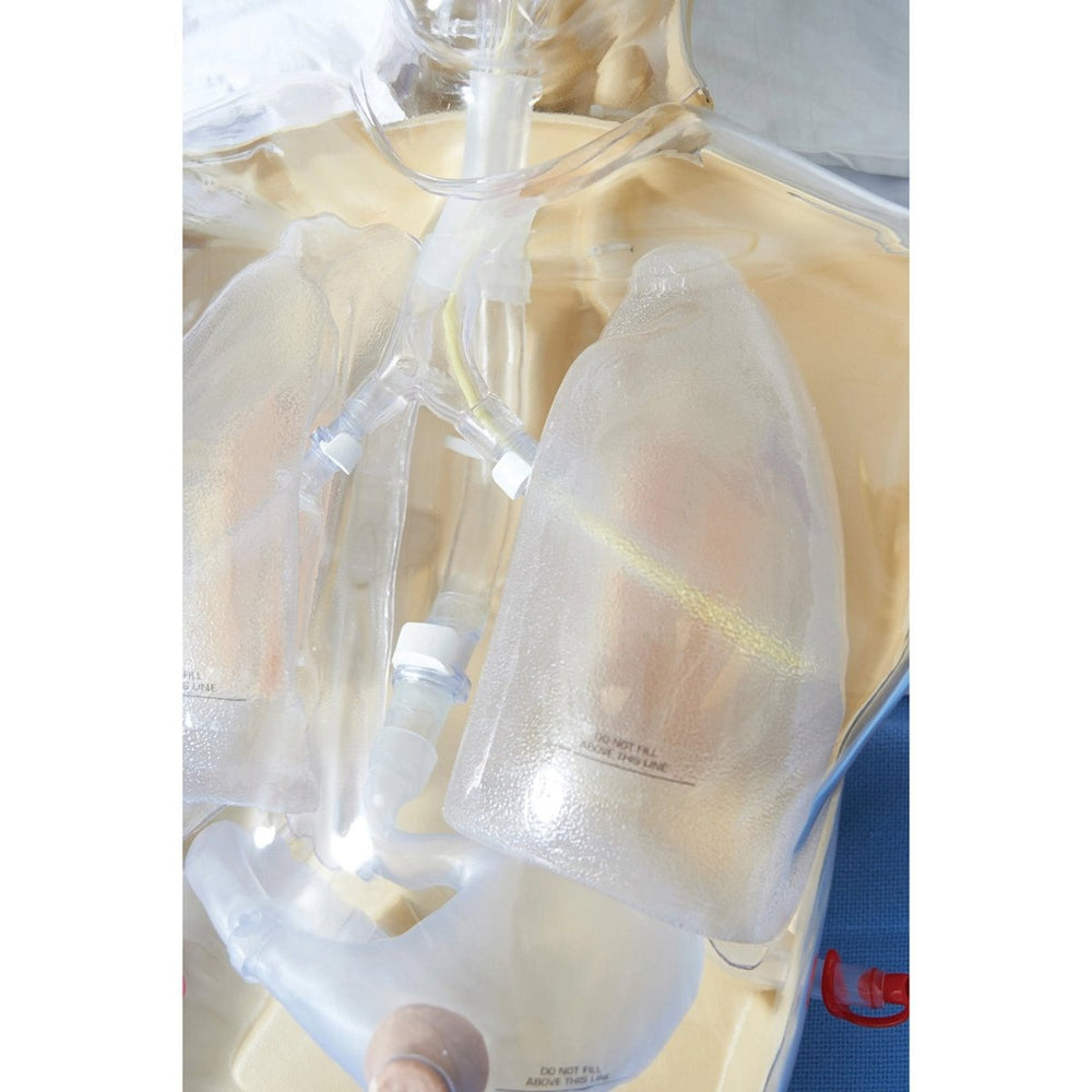 CORMAN - Adult Nasogastric and Nasojejunal Feeding Trainer, Dark Skin ...