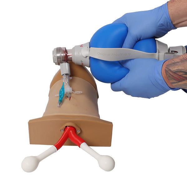 Task Trainer Cpr Photo Crico Chris - Cricothyrotomy Task Trainer – GTSimulators.com