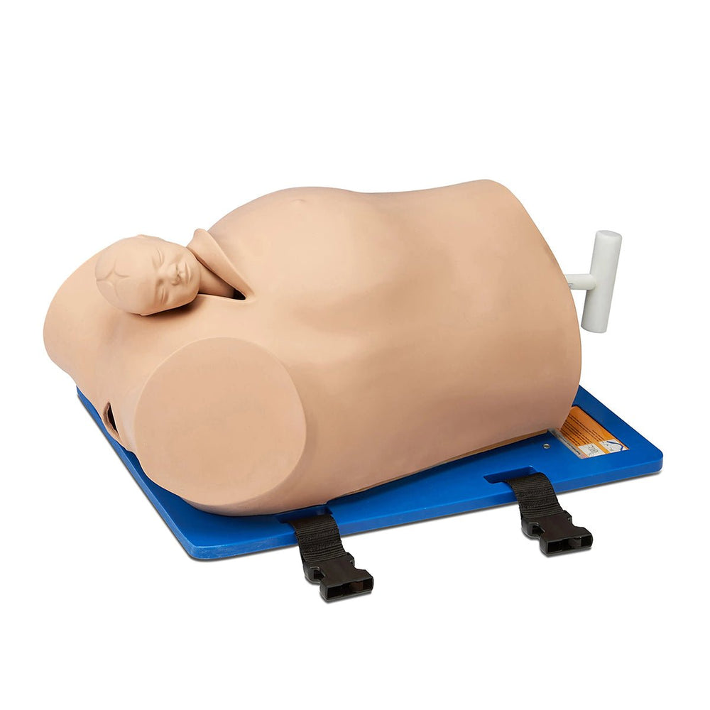 Debra Enhanced® - Impacted Fetal Head Simulator – GTSimulators.com