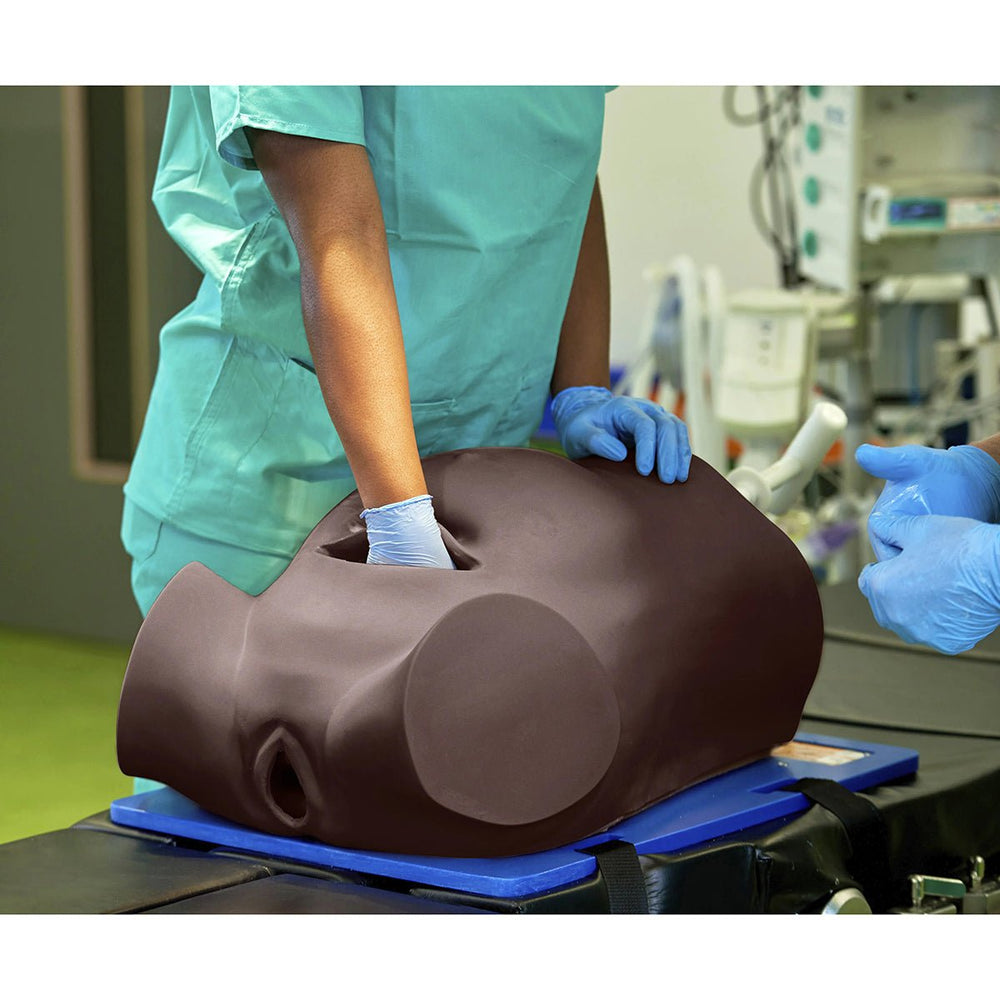 Debra Enhanced® - Impacted Fetal Head Simulator – GTSimulators.com