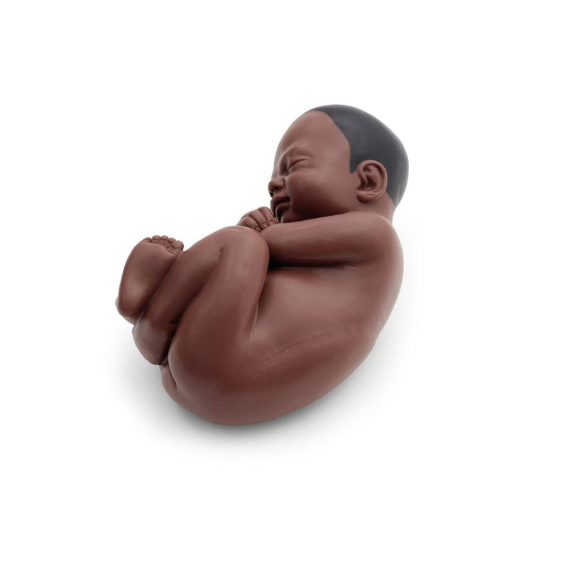 Deluxe Pregnancy Pelvis Model,  3-part, Dark Skin