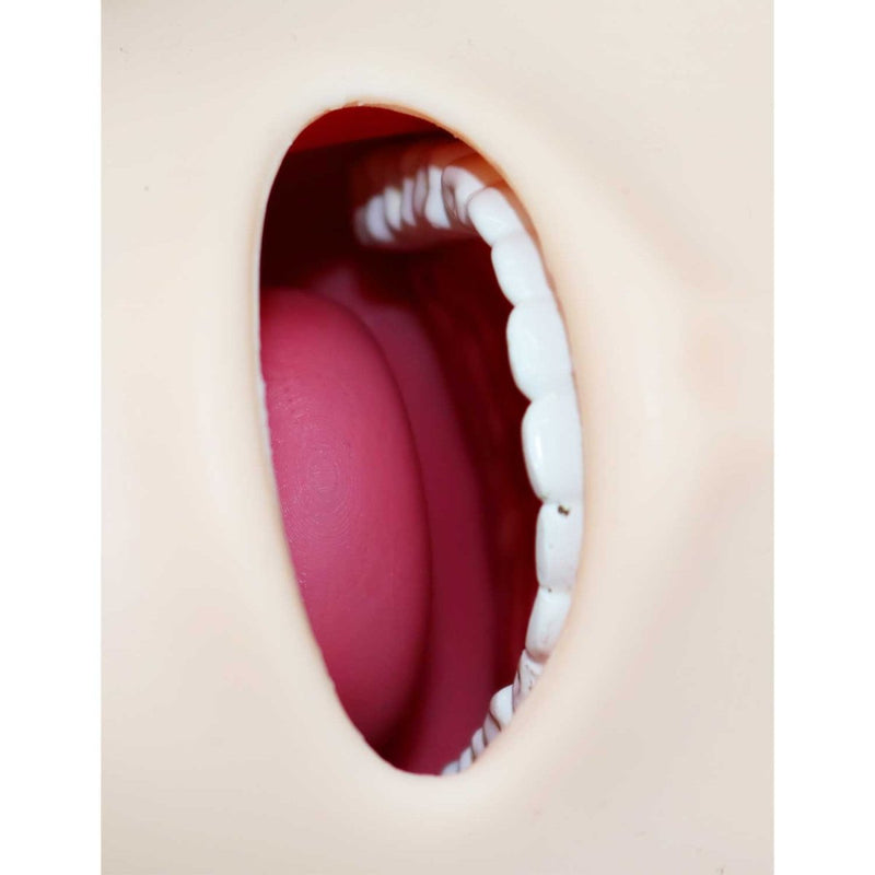 Difficult Airway Management Training Simulator