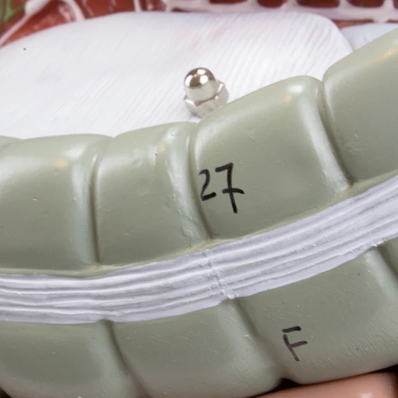 Digestive System Model, 2 Parts