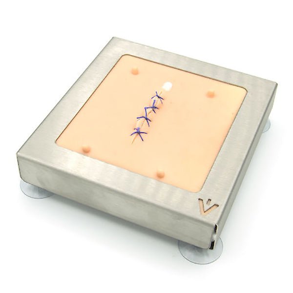 Dog Linea Alba Surgical Suture Training Pad for Veterinary Education