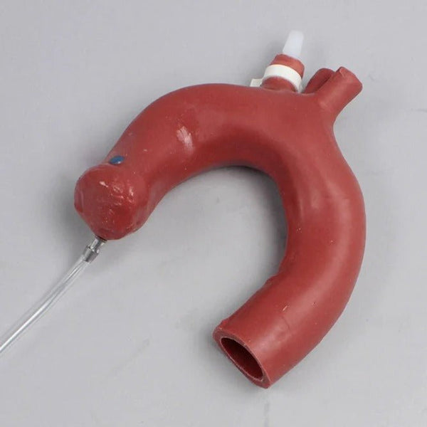 ECMO Beating Heart – GTSimulators.com