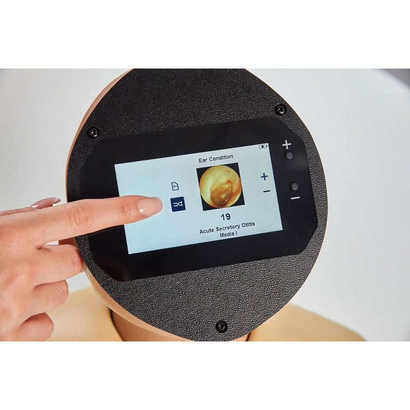 Enhanced Digital Ear Examination Trainer, Light
