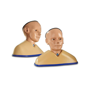 Enhanced Digital Eye and Ear Examination Trainer Set, Light