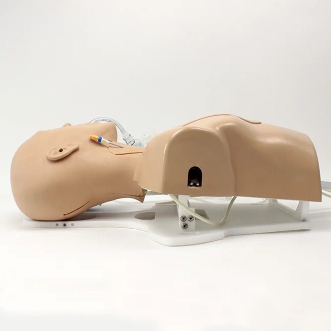 Enhanced ECMO/Perfusion Team Trainer with Femoral Access Module