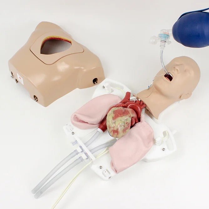 Enhanced ECMO/Perfusion Team Trainer with Femoral Access Module