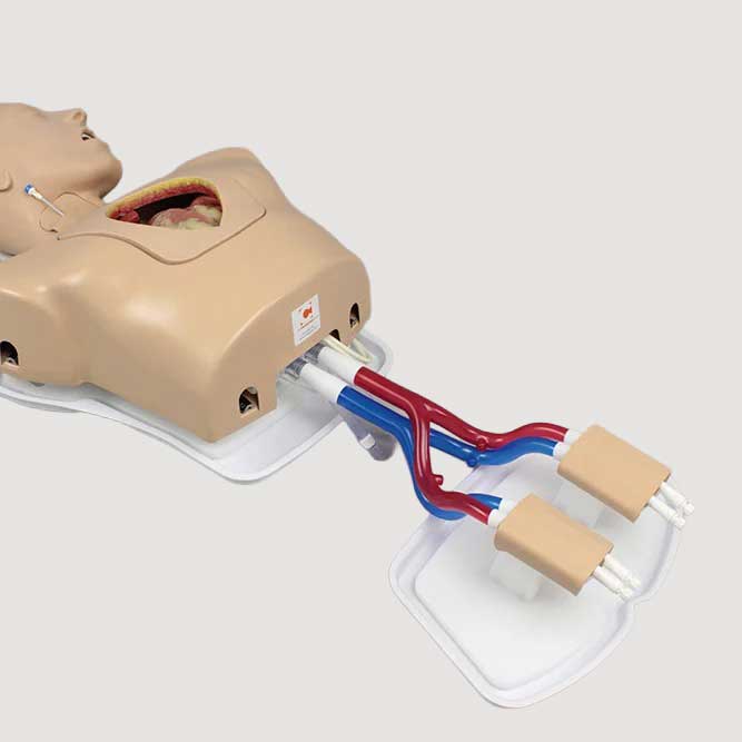 Enhanced ECMO/Perfusion Team Trainer with Femoral Access Module