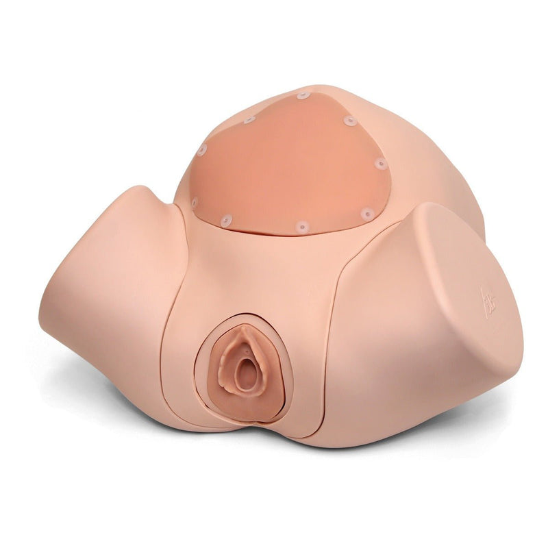 Episiotomy Suture Training Module for Birthing Simulator P90