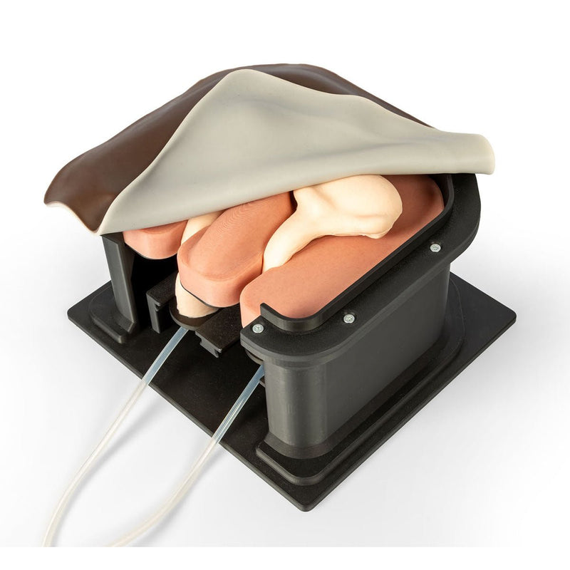 Equine Castration Surgical Simulator