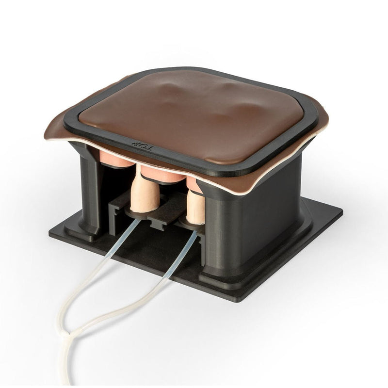 Equine Castration Surgical Simulator