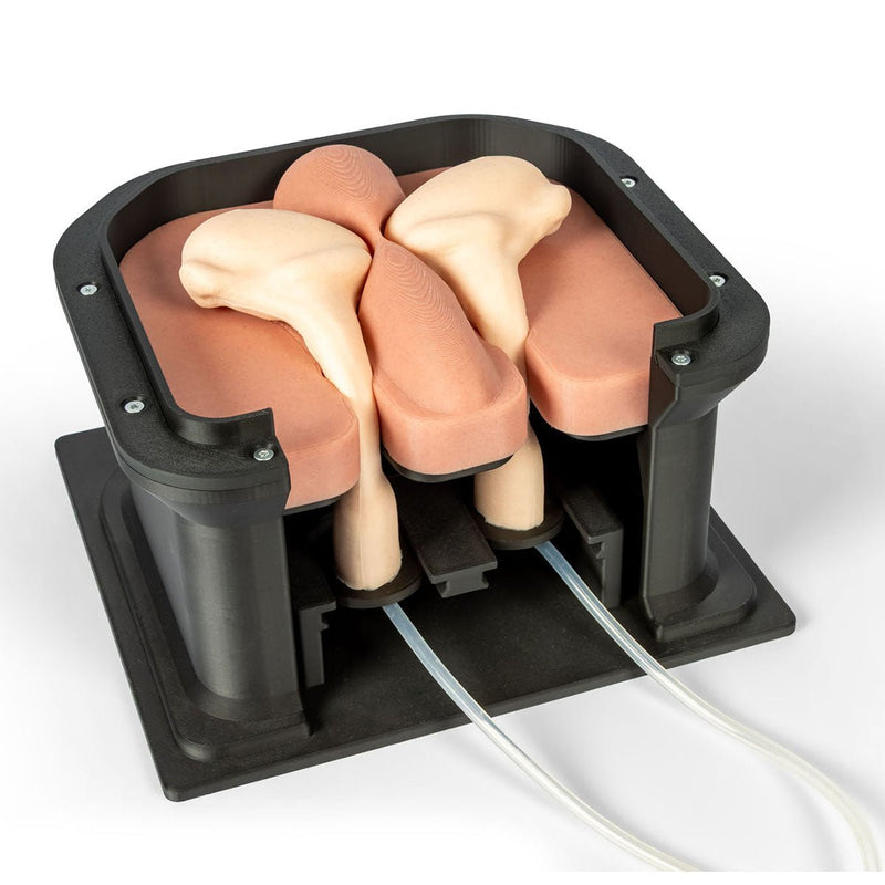 Equine Castration Surgical Simulator