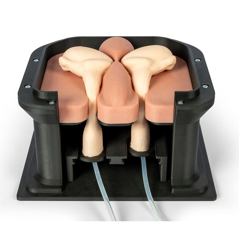 Equine Castration Surgical Simulator