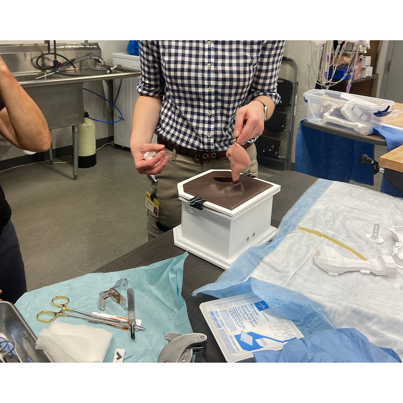 Equine Castration Surgical Simulator