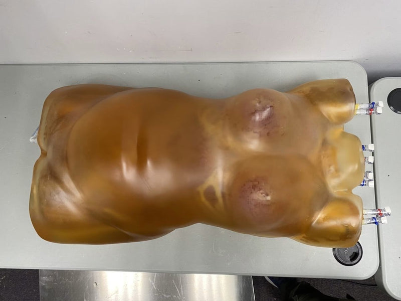 Fat Layer for Female Torso – BMI 28