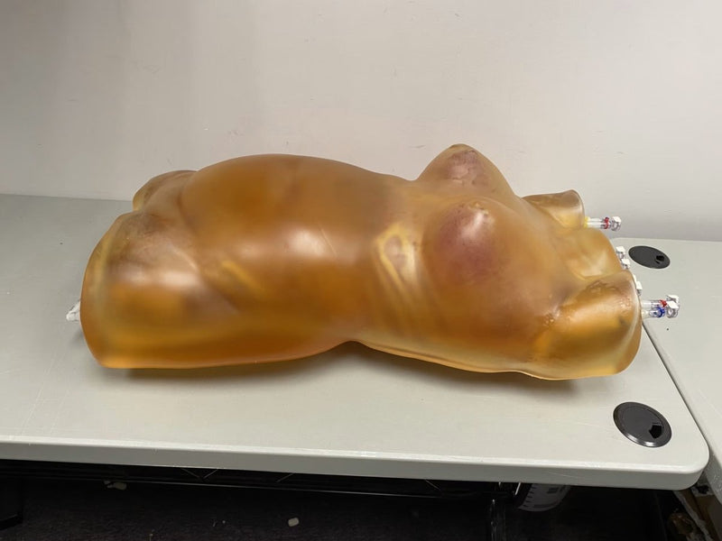 Fat Layer for Female Torso – BMI 28