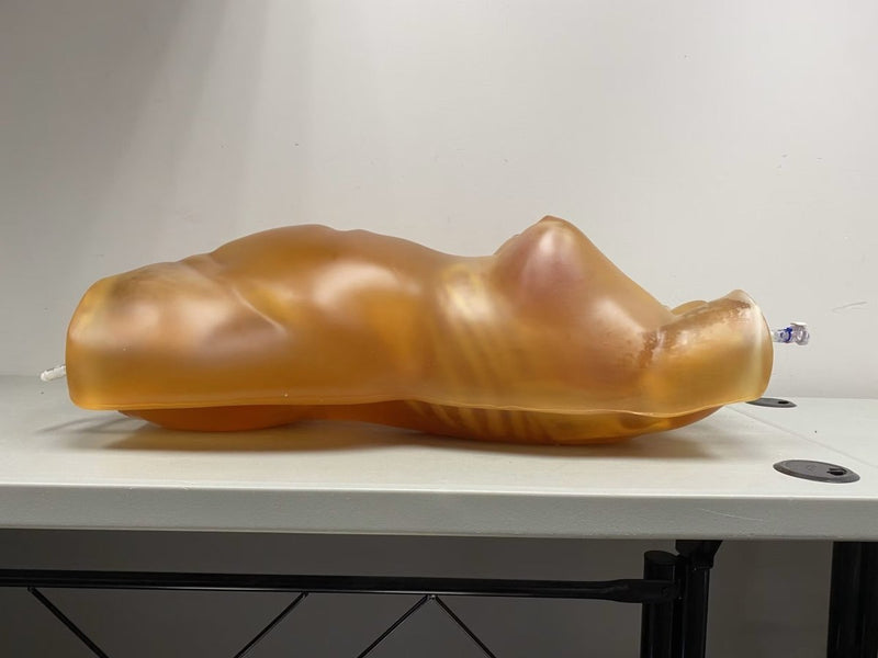 Fat Layer for Female Torso – BMI 28