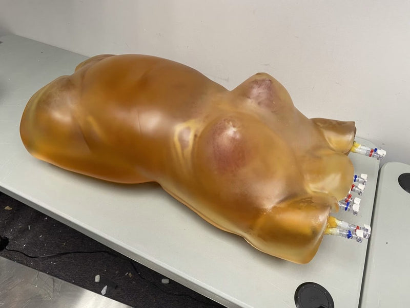 Fat Layer for Female Torso – BMI 28